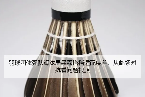 img_1788593292547_18_1_493.jpg